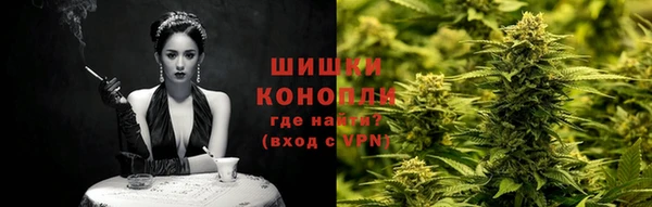 стаф Каменск-Шахтинский