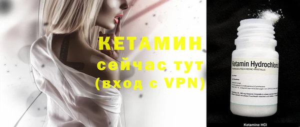 стаф Каменск-Шахтинский